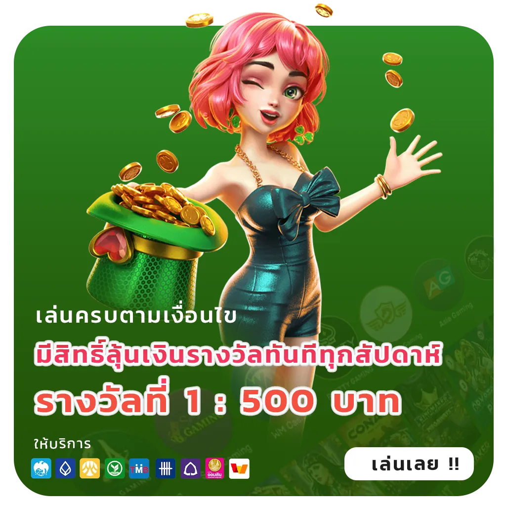 somboon ทดลองเล่น